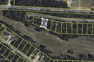 506 Bald Eagle Dr, Vass, NC 28394 - Photo 28