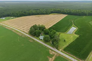 216 Karo White Rd, Windsor, NC 27983 - Photo 50
