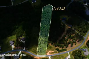 Lot 343 Loop Ln, Blairsville, GA 30512 - Photo 1