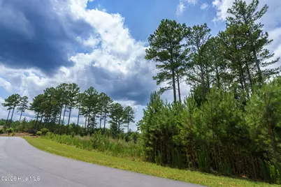 Lot 343 Loop Lane, Blairsville, GA 30512 - Photo 8