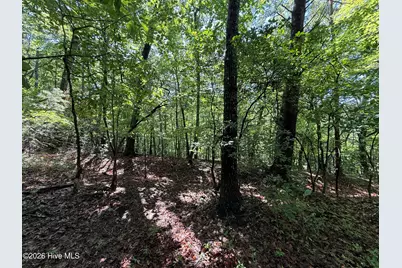 81 Roberts Road, Murphy, NC 28906 - Photo 8