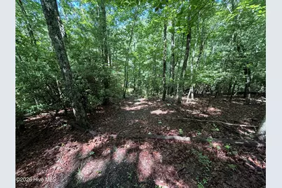 81 Roberts Road, Murphy, NC 28906 - Photo 4