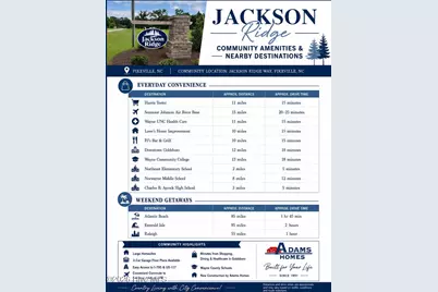106 Jackson Ridge Way, Pikeville, NC 27863 - Photo 32