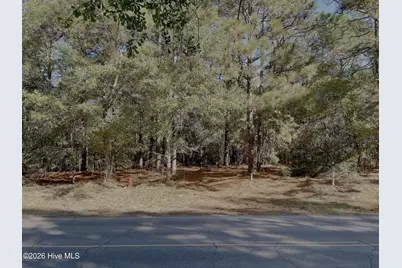 0 Hylan Avenue, Hamlet, NC 28345 - Photo 6