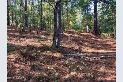 0 Hylan Avenue, Hamlet, NC 28345 - Photo 4
