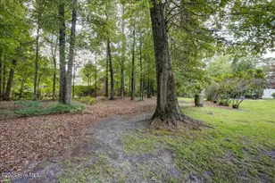802 Thyme Ct, New Bern, NC 28562 - Photo 40