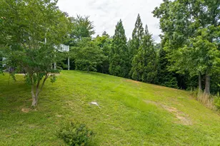 82 Jay Bird Wy, Hayesville, NC 28904 - Photo 68