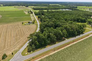 841 Hwy 123 S, Hookerton, NC 28538 - Photo 40