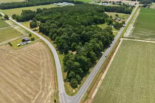 841 Hwy 123 S, Hookerton, NC 28538 - Photo 42