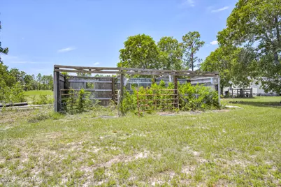 798 Big Branch Road, Wagener, SC 29164 - Photo 50