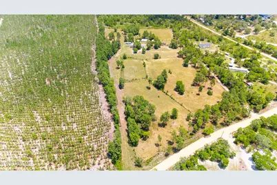 798 Big Branch Road, Wagener, SC 29164 - Photo 36