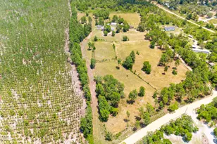 798 Big Branch Rd, Wagener, SC 29164 - Photo 36