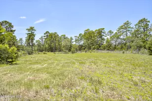 798 Big Branch Rd, Wagener, SC 29164 - Photo 40
