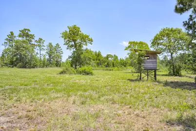 798 Big Branch Road, Wagener, SC 29164 - Photo 42