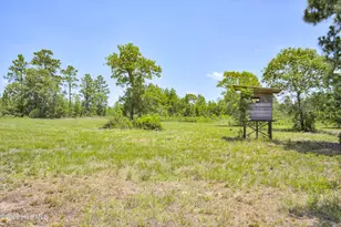 798 Big Branch Rd, Wagener, SC 29164 - Photo 42