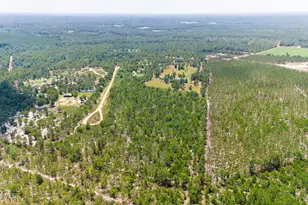 798 Big Branch Rd, Wagener, SC 29164 - Photo 58