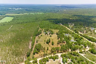 798 Big Branch Rd, Wagener, SC 29164 - Photo 4