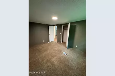 501 Ruskin Road, Dudley, NC 28333 - Photo 10