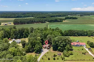 434 Upland Rd, Willard, NC 28478 - Photo 56