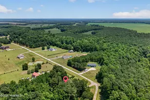 434 Upland Rd, Willard, NC 28478 - Photo 62