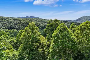 3477 Salem Rd, Mineral Bluff, GA 30559 - Photo 52