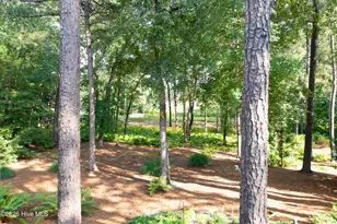 18 Oxton Cir, Pinehurst, NC 28374 - Photo 36