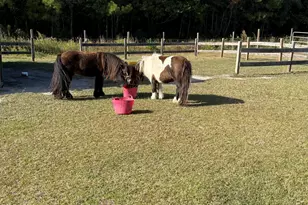 1237 Belgrade-Swansboro Rd, Hubert, NC 28539 - Photo 10
