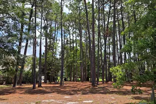 3451 Haskell Ln SE, Southport, NC 28461 - Photo 1