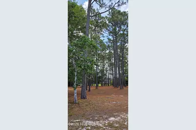 3451 Haskell Lane SE, Southport, NC 28461 - Photo 20