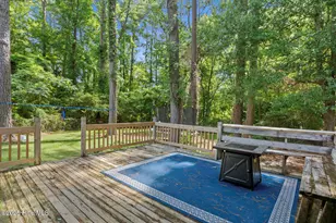 210 E Willowood Ln, Jacksonville, NC 28546 - Photo 18