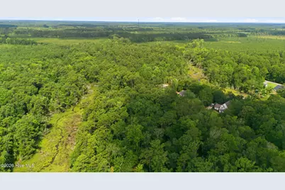 170 Winding Creek Drive, Oriental, NC 28571 - Photo 6