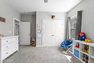 229 Egret Point Dr, Sneads Ferry, NC 28460 - Photo 26