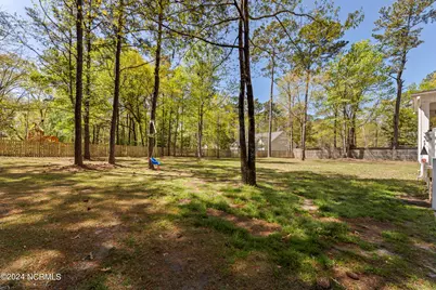 229 Egret Point Drive, Sneads Ferry, NC 28460 - Photo 40
