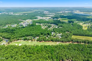 994 Mill Run Rd, Sneads Ferry, NC 28460 - Photo 88