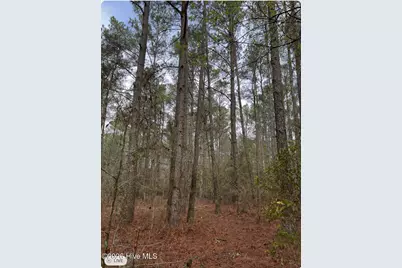 00 Garland Highway, Clinton, NC 28328 - Photo 6