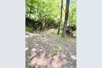 89 Dog Hollow Hollow, Robbinsville, NC 28771 - Photo 20