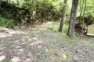 89 Dog Hollow Hollow, Robbinsville, NC 28771 - Photo 20