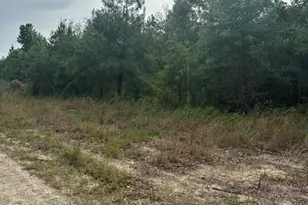 Tbd Old Pl Rd, Ellerbe, NC 28338 - Photo 1