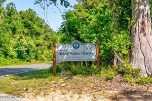 321 Victoria Charm Dr, Wilmington, NC 28411 - Photo 74