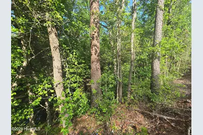Tbd Cabins Creek Road, Vass, NC 28394 - Photo 2