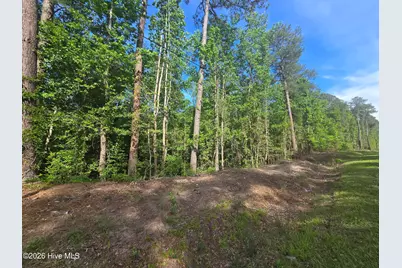 Tbd Cabins Creek Road, Vass, NC 28394 - Photo 1