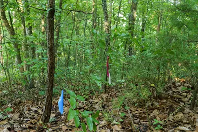 0 Gloryland Way, Murphy, NC 28906 - Photo 22