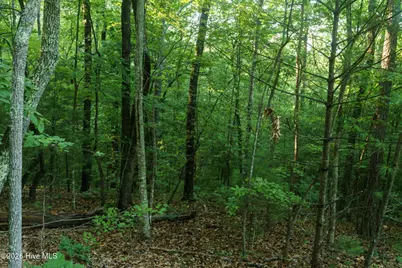 0 Gloryland Way, Murphy, NC 28906 - Photo 14
