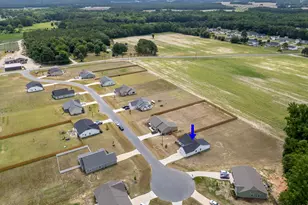 161 Grace Rdg Ct, Benson, NC 27504 - Photo 20