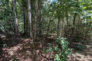 7801 Grand Lillie Dr, Durham, NC 27712 - Photo 1
