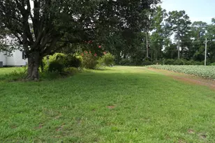 3150 NC-118, Vanceboro, NC 28586 - Photo 32