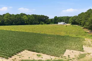 4800 Eatmon Rd, Bailey, NC 27807 - Photo 52