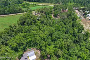 6684 Luckys Brg Rd, Dearing, GA 30808 - Photo 56