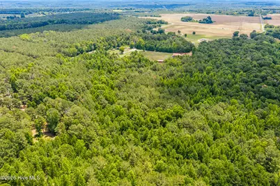 145 Horseshoe Road, Rockingham, NC 28379 - Photo 22