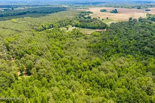 145 Horseshoe Rd, Rockingham, NC 28379 - Photo 22
